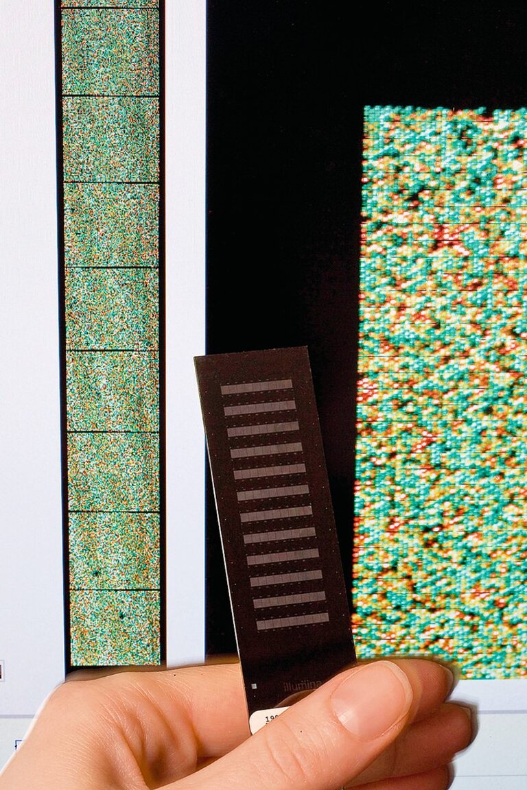 SNP Chip für molekulare Marker Pflanzenzüchtung