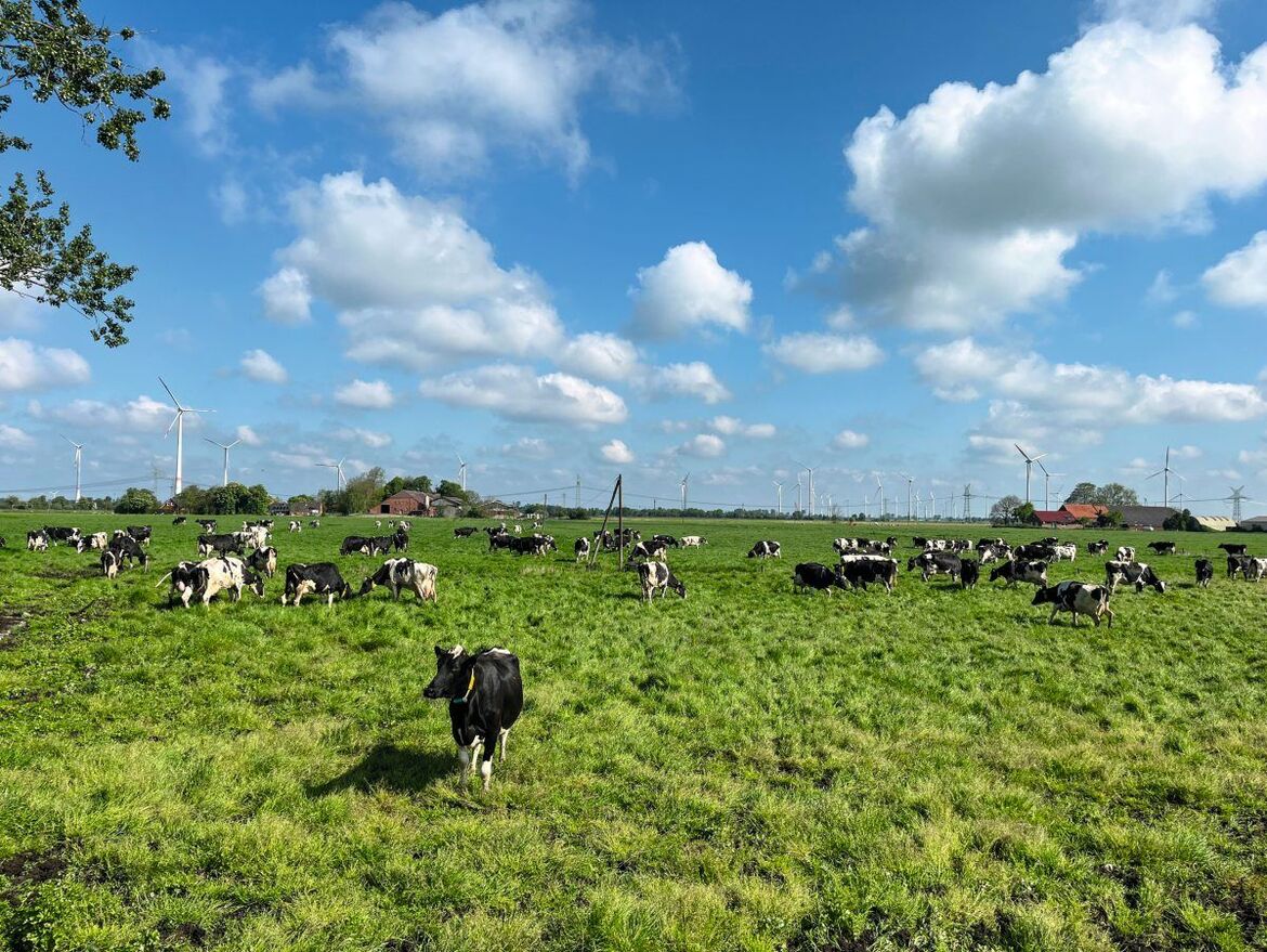Weidemilch. Wer fordert, muss auch zahlen
