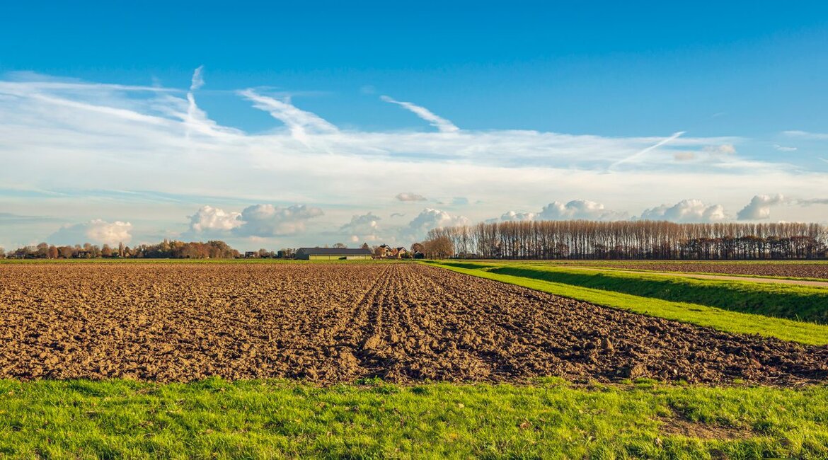 Agrarlandschaft