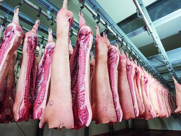 Schweinehälften im Schlachthof
