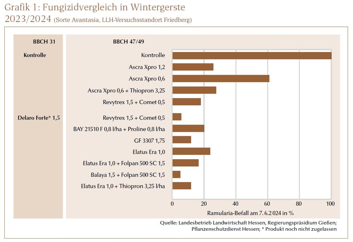 Fungizidvergleich in Wintergerste