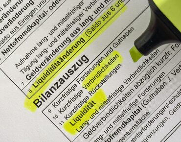 Bilanzauszug Erklärung