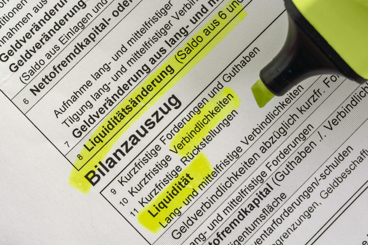 Bilanzauszug Erklärung