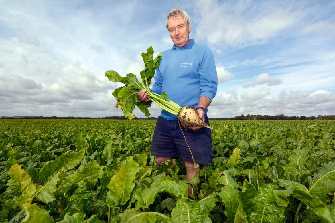 Ein Landwirt steht auf seinem Rübenfeld und hält eine Zuckerrübe in seinen Händen