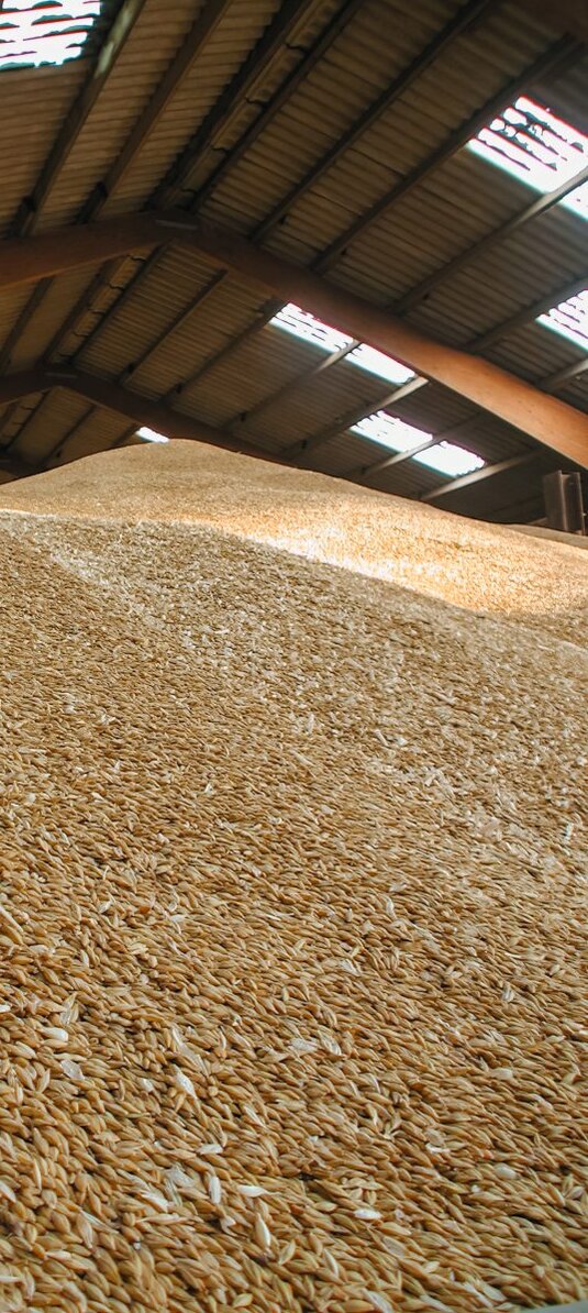 Getreidehaufen im Lager