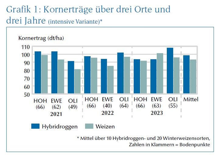 Kornerträge Hybridroggen 