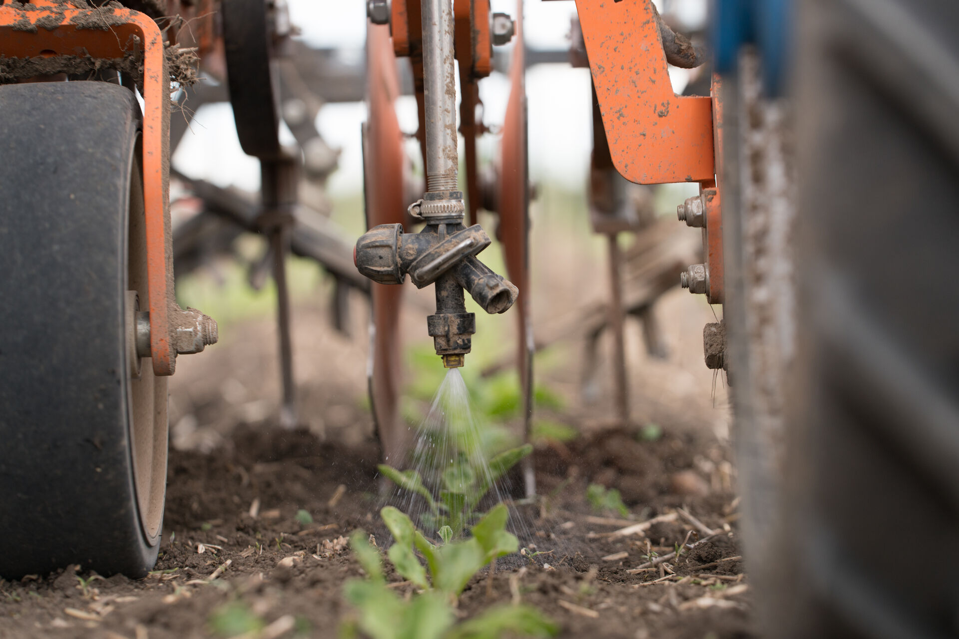 Pflanzenschutz, Pflanzenschutzdüse, Agrotop