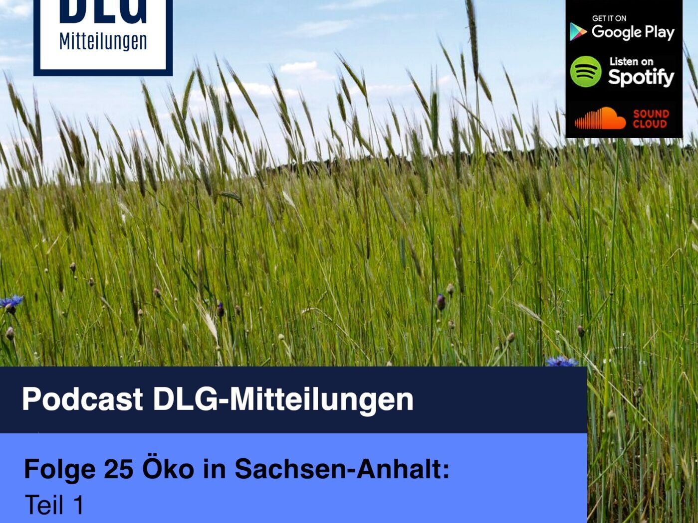 Öko in Sachsen-Anhalt: Knappes Wasser spricht für die Umstellung