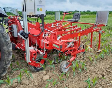 Sensorgesteuerte Hacke im Mais