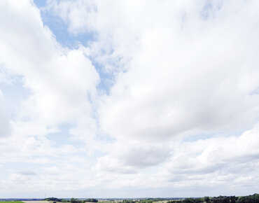 Feld mit Versuchsparzellen