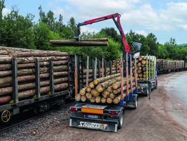 Baumstämme werden verladen
