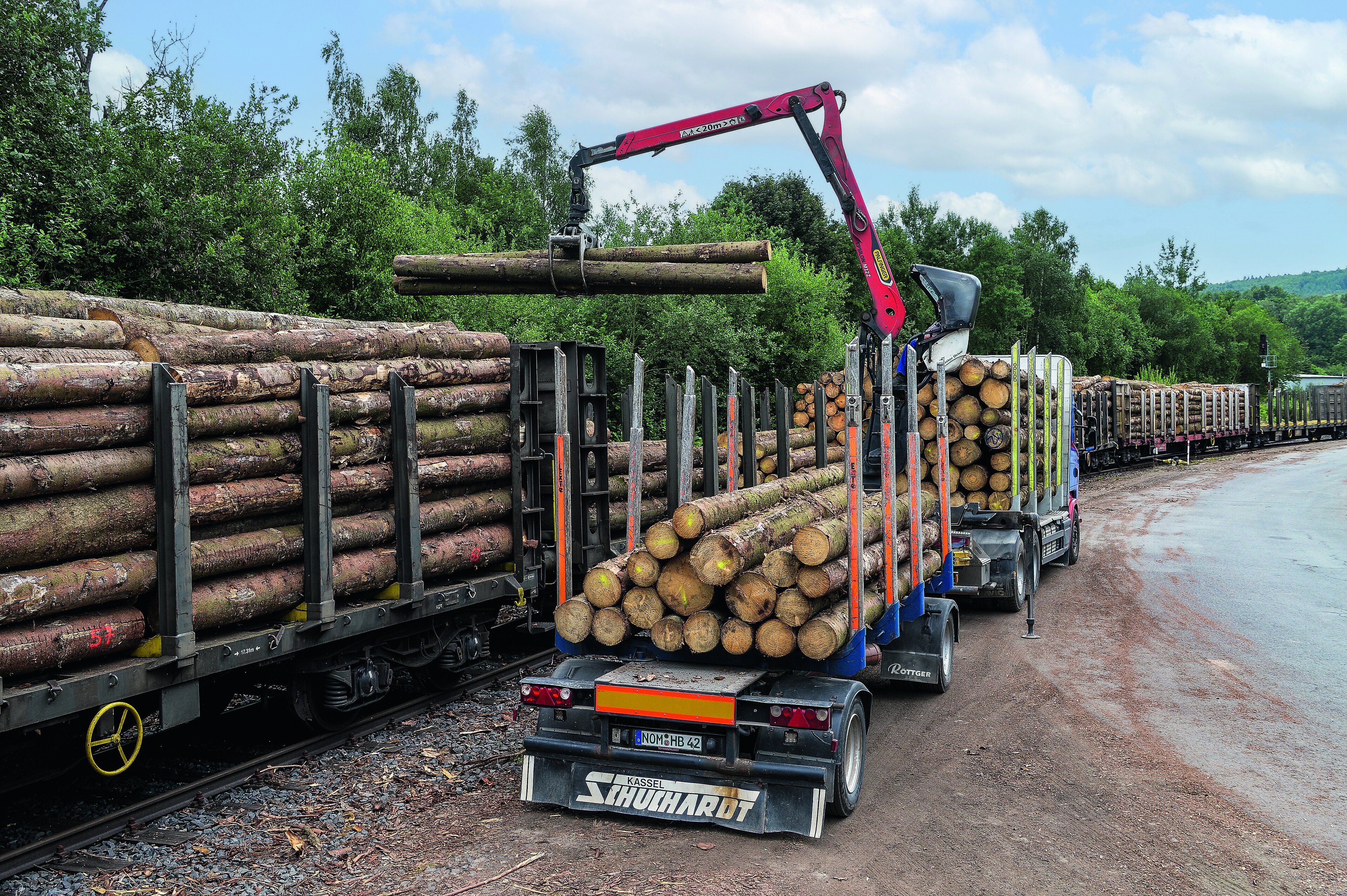 Baumstämme werden verladen