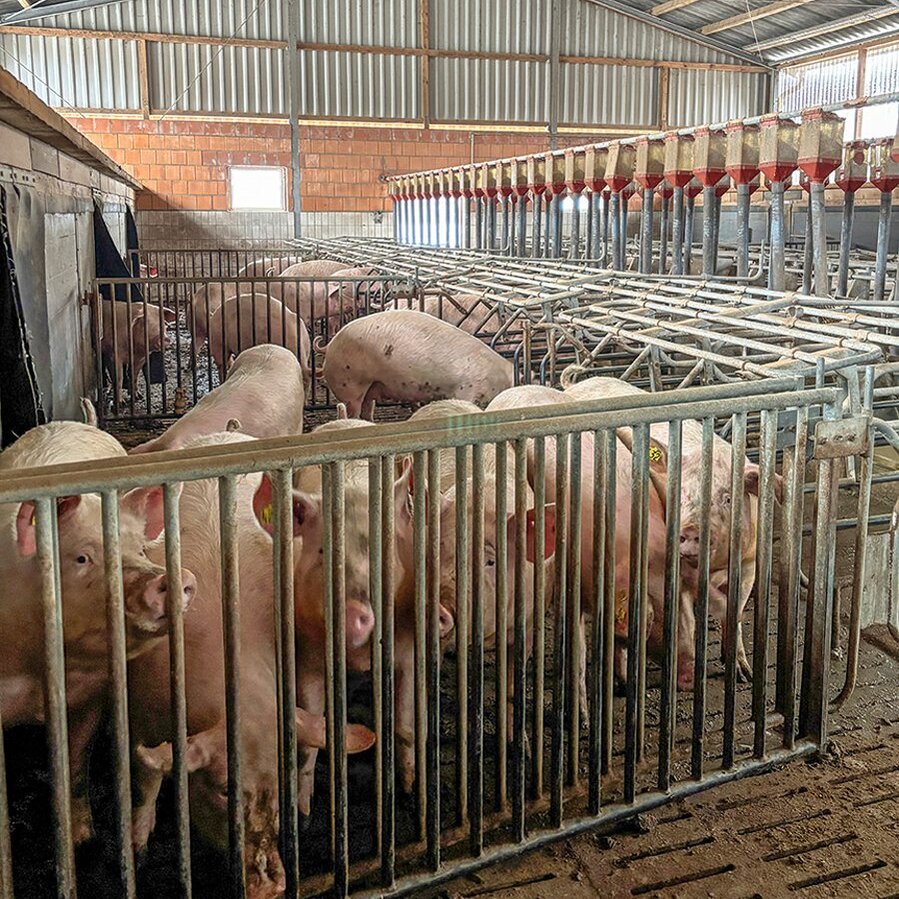 Deckzentrum Betrieb Kreißig