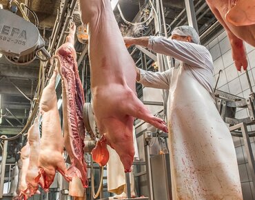 Schweinehälften im Schlachthof