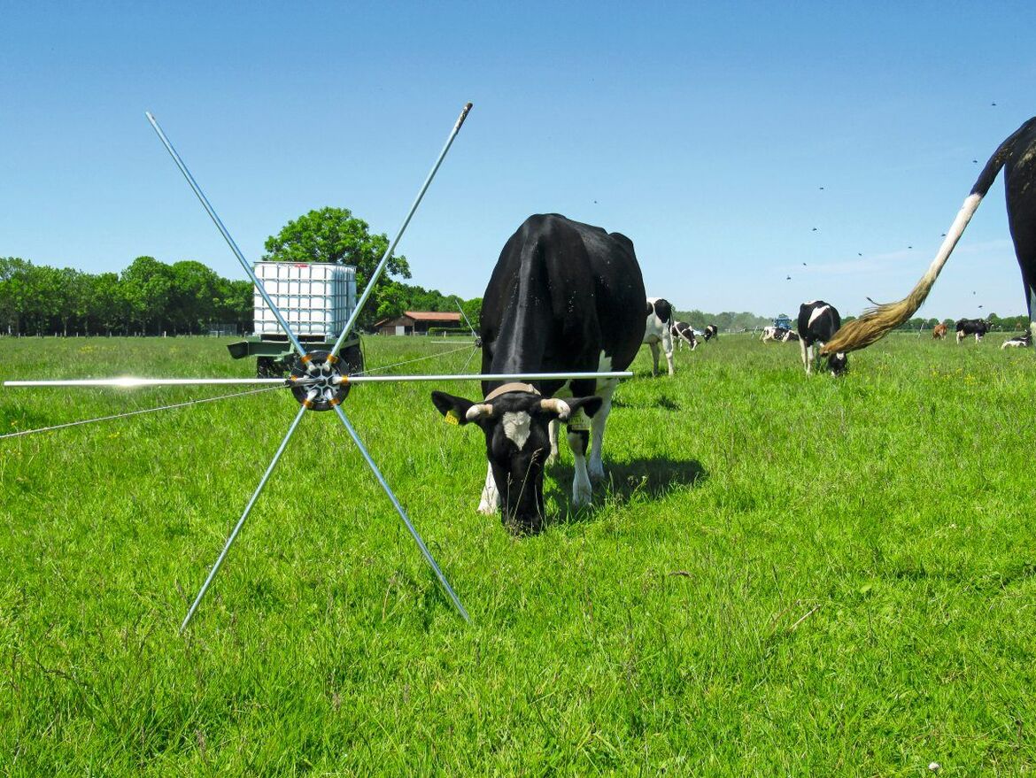 Mob Grazing. Weidestrategie mit Potential 