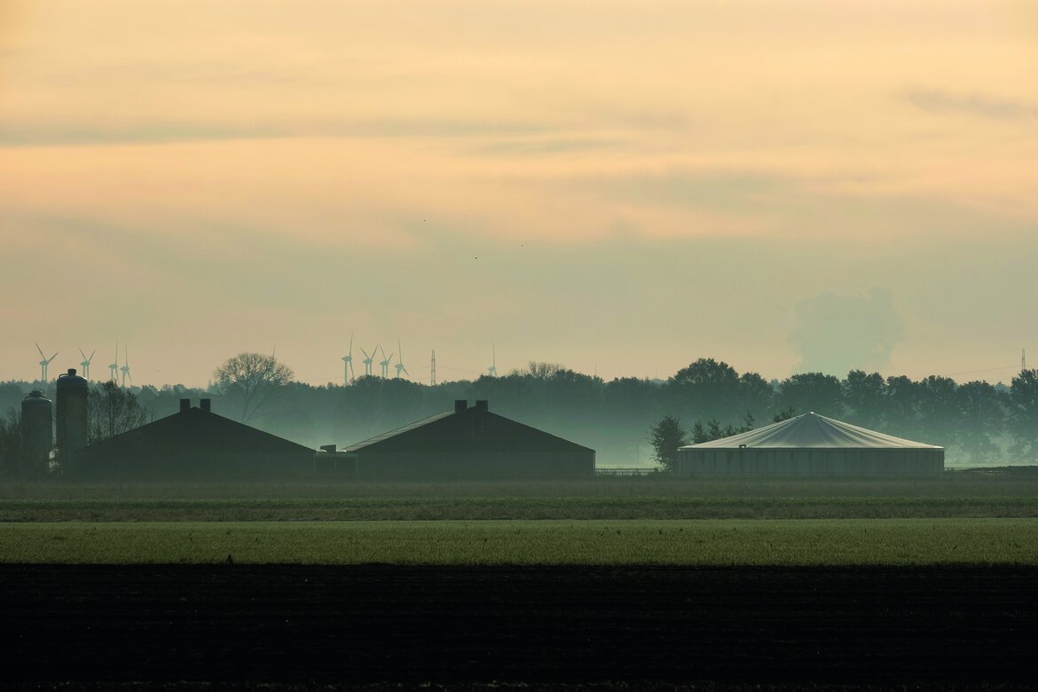 Schweineställe im Nebel