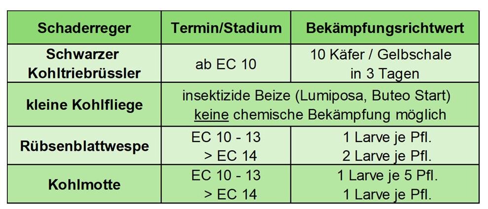 Schadschwellen anderer bedeutender Rapsschädlinge