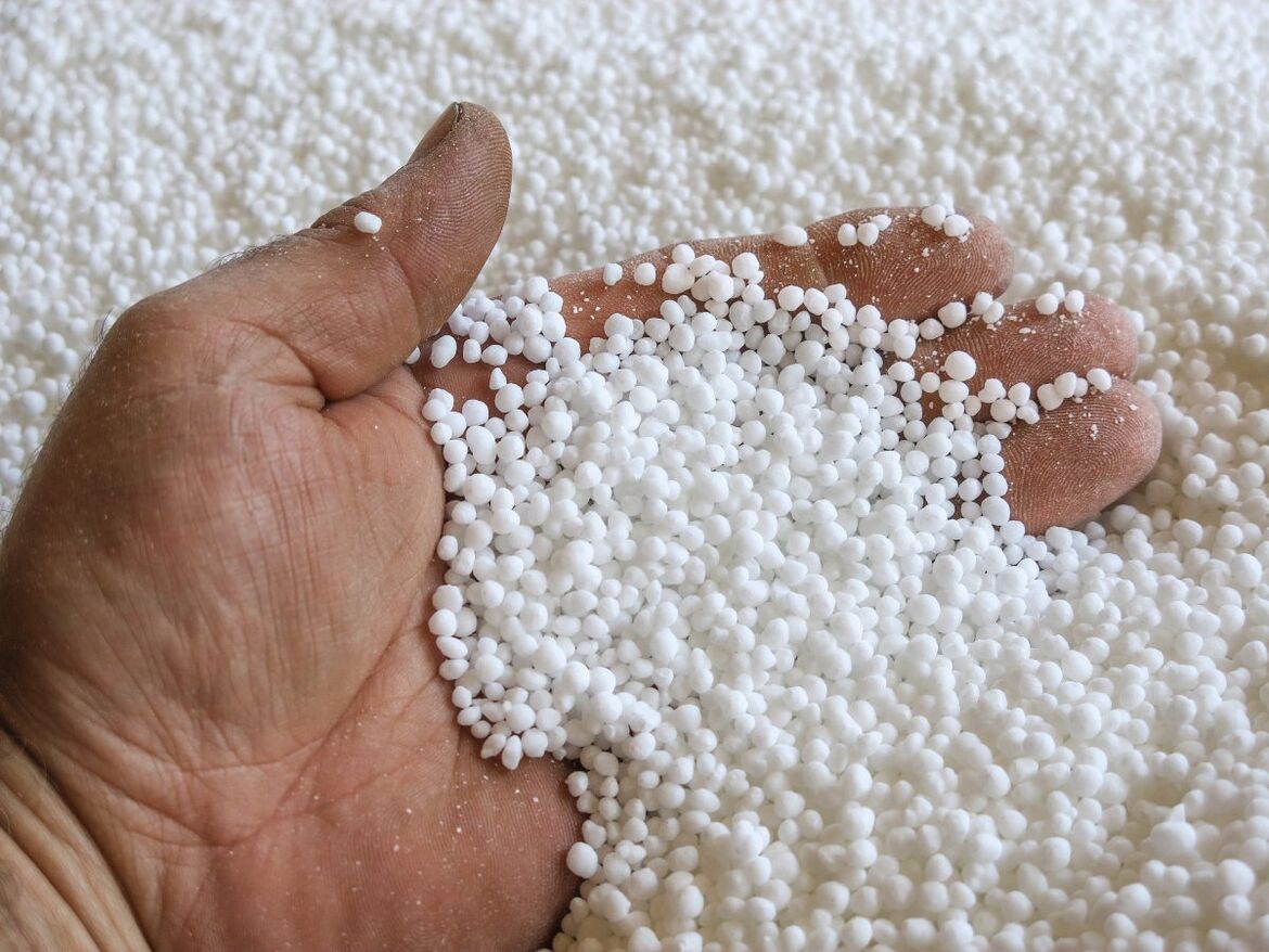 Mann hält Mineraldünger in der Hand