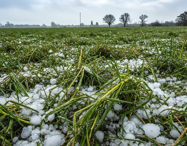 Acker mit einem Hagelschaden