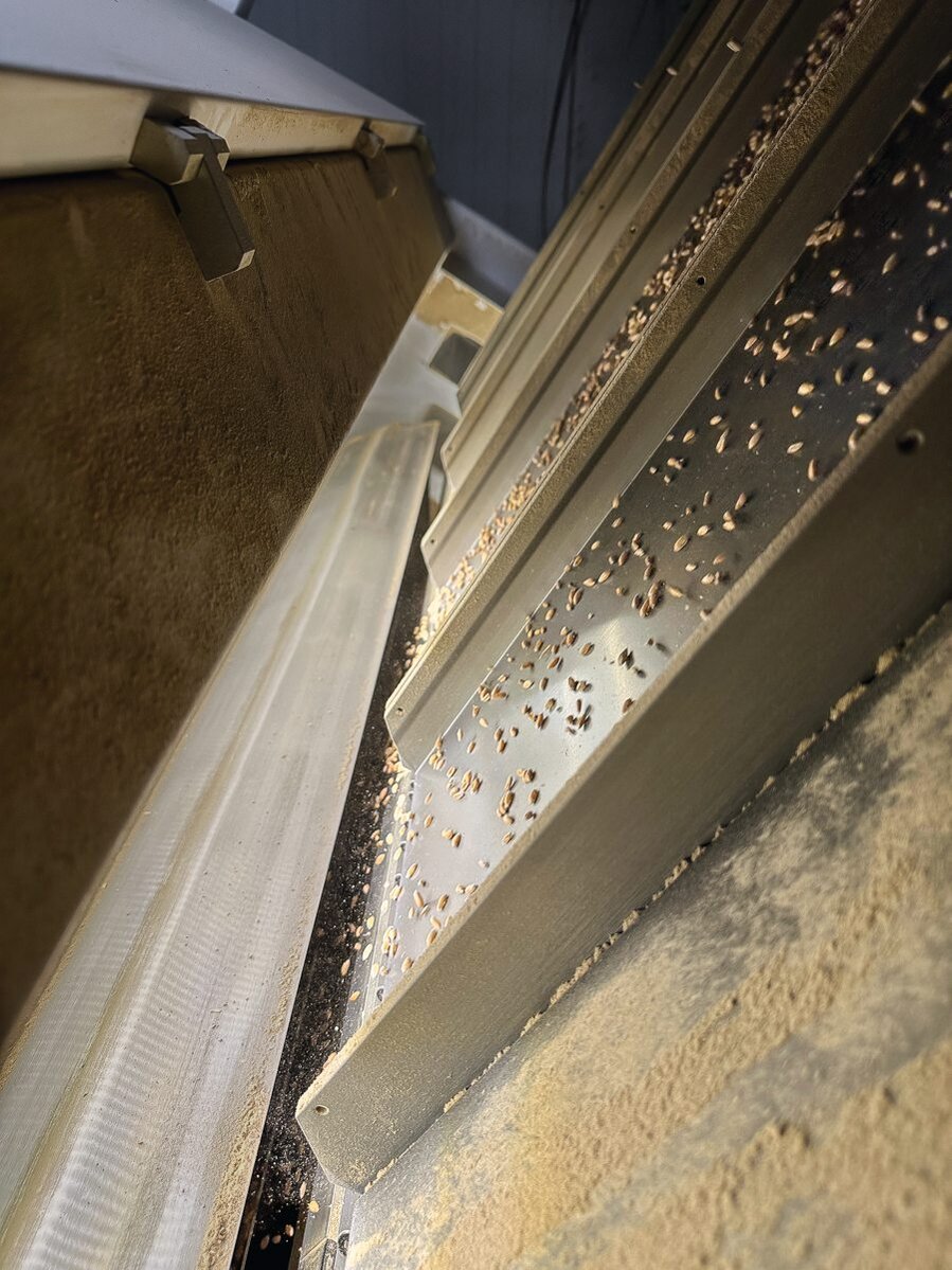 Farbausleser zur Getreidereinigung