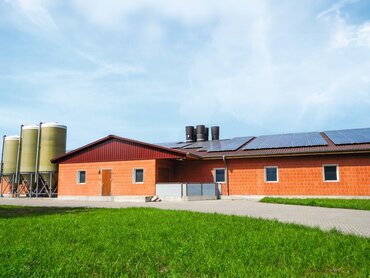 Außenansicht Schweinestall