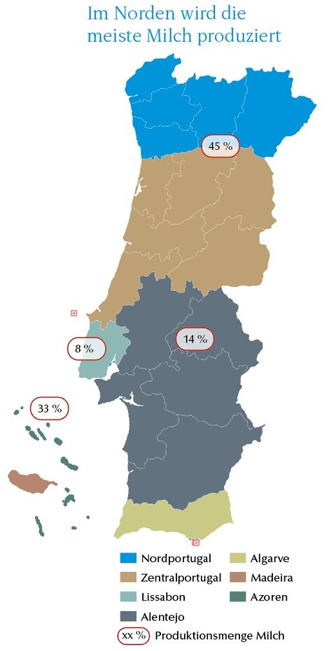 Grafik Milchproduktion in Portugal