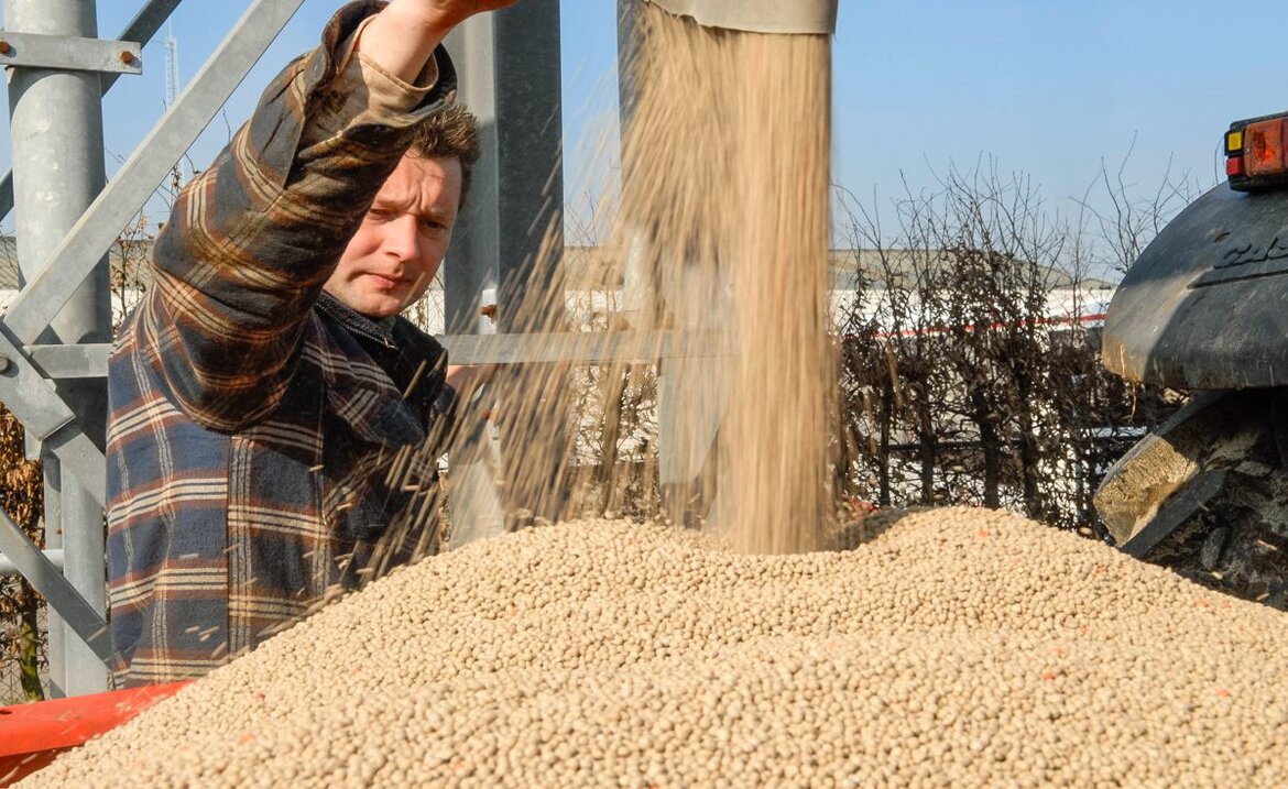 KAS-Dünger rieselt auf einen Düngerstreuer, ein Landwirt steht daneben