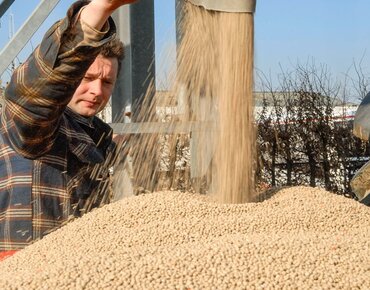 KAS-Dünger rieselt auf einen Düngerstreuer, ein Landwirt steht daneben