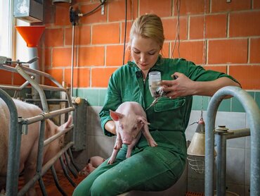 Landwirtin impft ein Ferkel