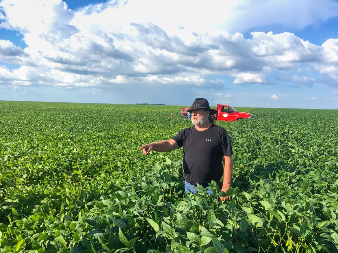 Landwirt in Brasilien steht in einem Sojafeld