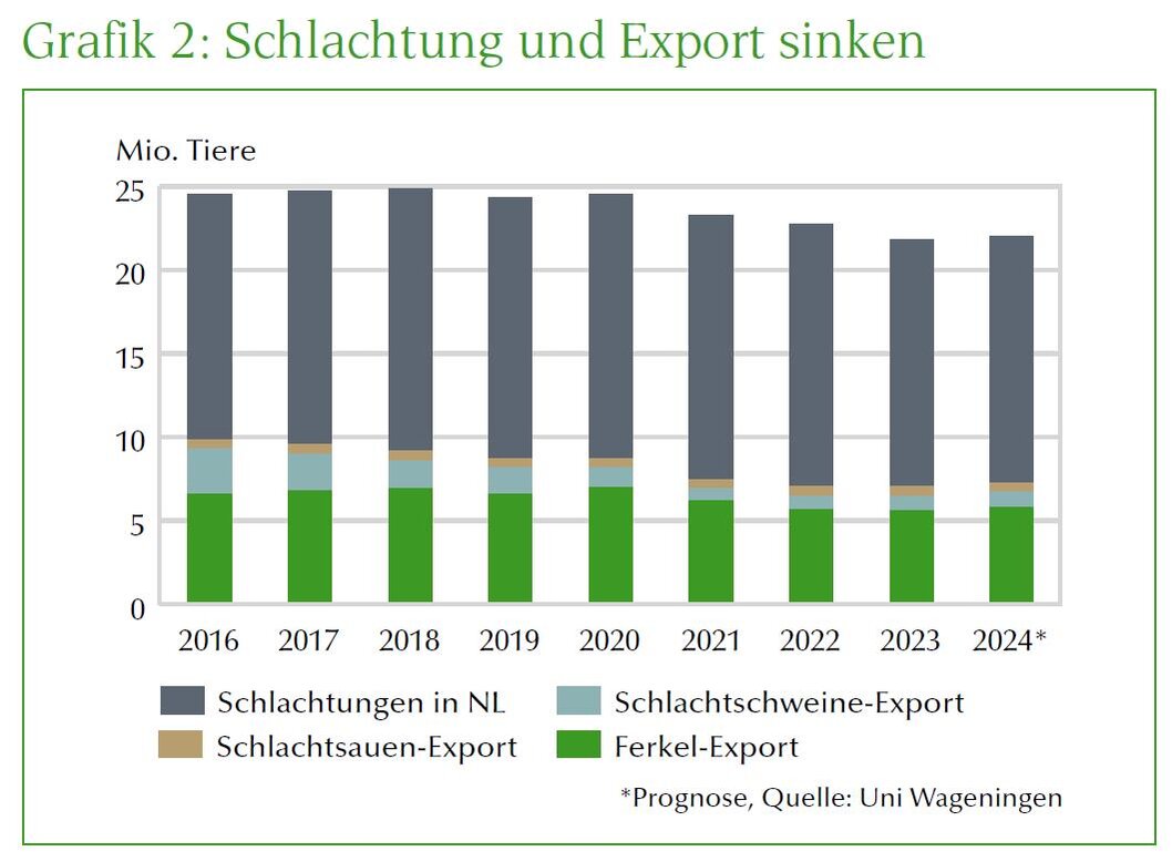 Grafik Schlachtung und Export Schweine Niederlande