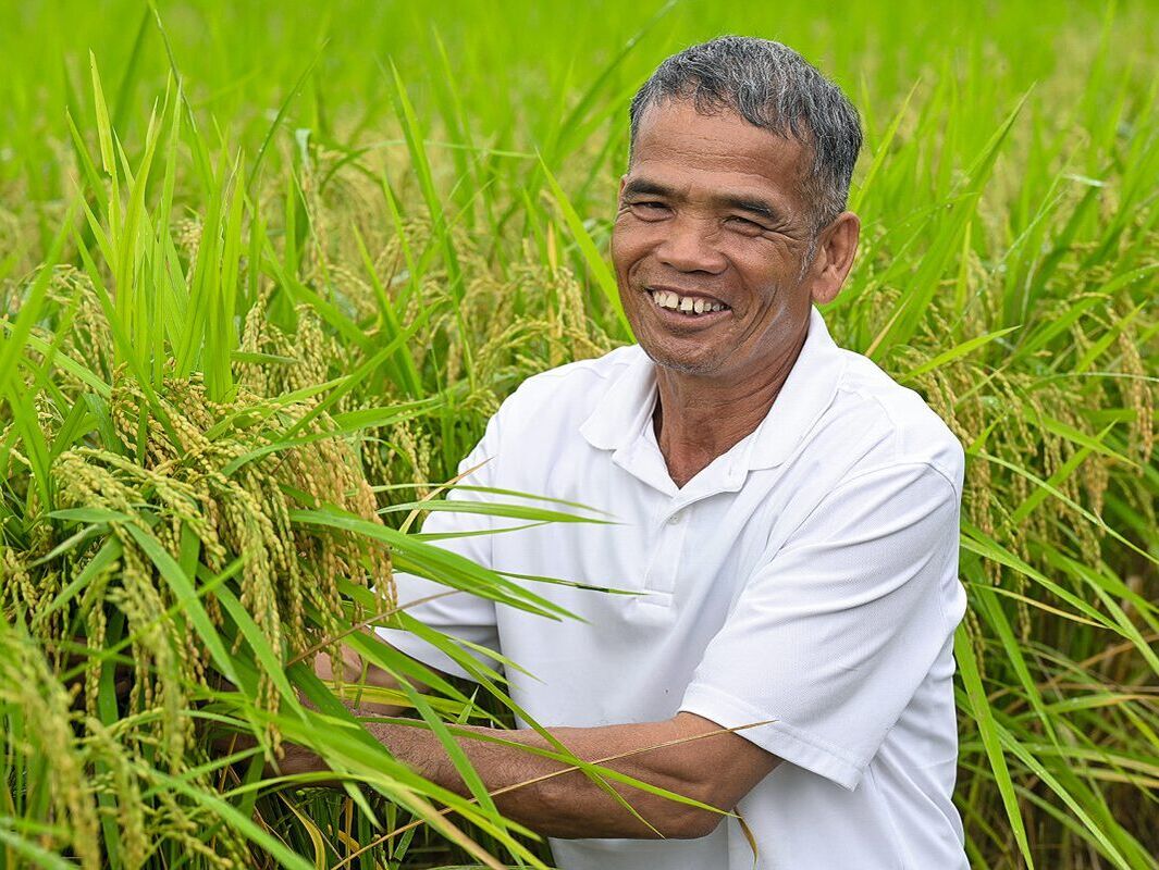 Thailand. Zwischen Export und Subsistenzwirtschaft