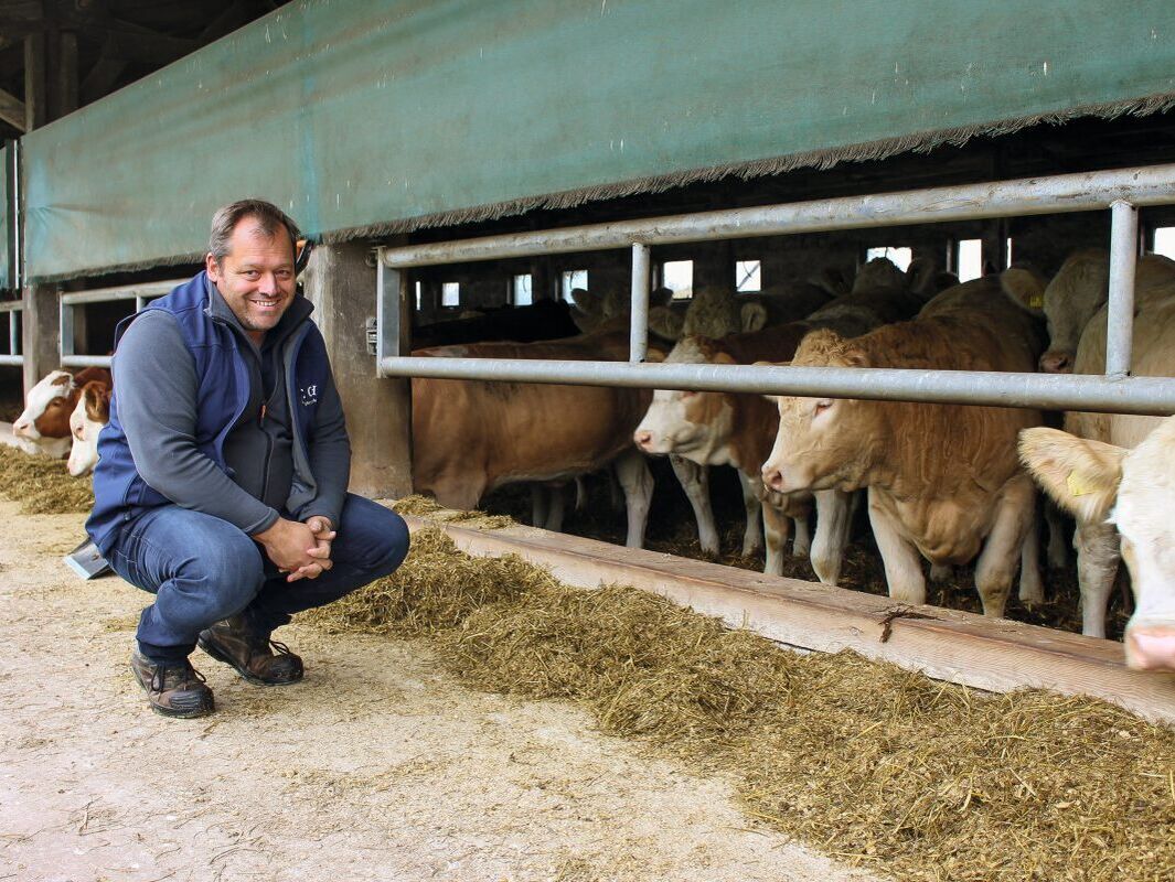 Rindermast: Uckermärker fürs Steakhouse