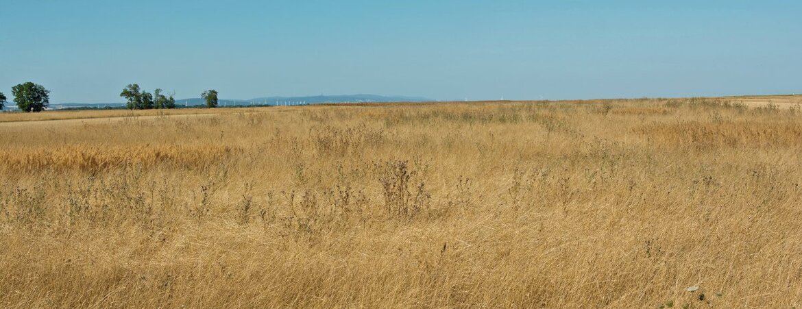 Brachfläche bei Dürre