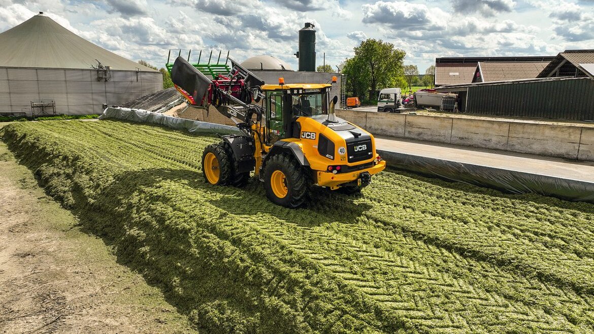 Ein Radlader verdichtet Maissilage im Silo