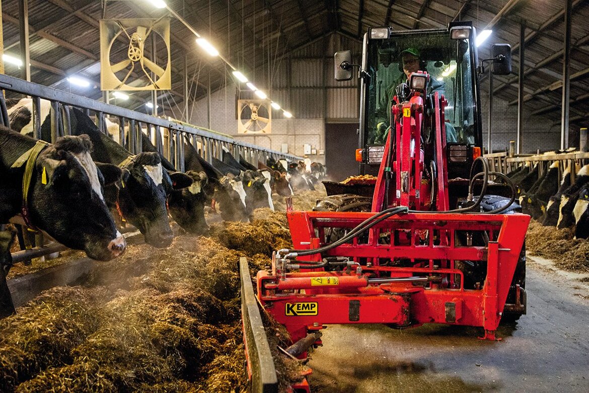 Ein Landwirt schiebt mit einem Hofschlepper Futter zu den Kühen