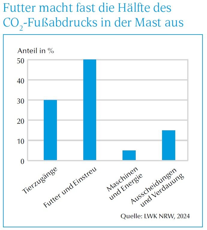 Grafik CO2-Fußabdruck schweinefleisch