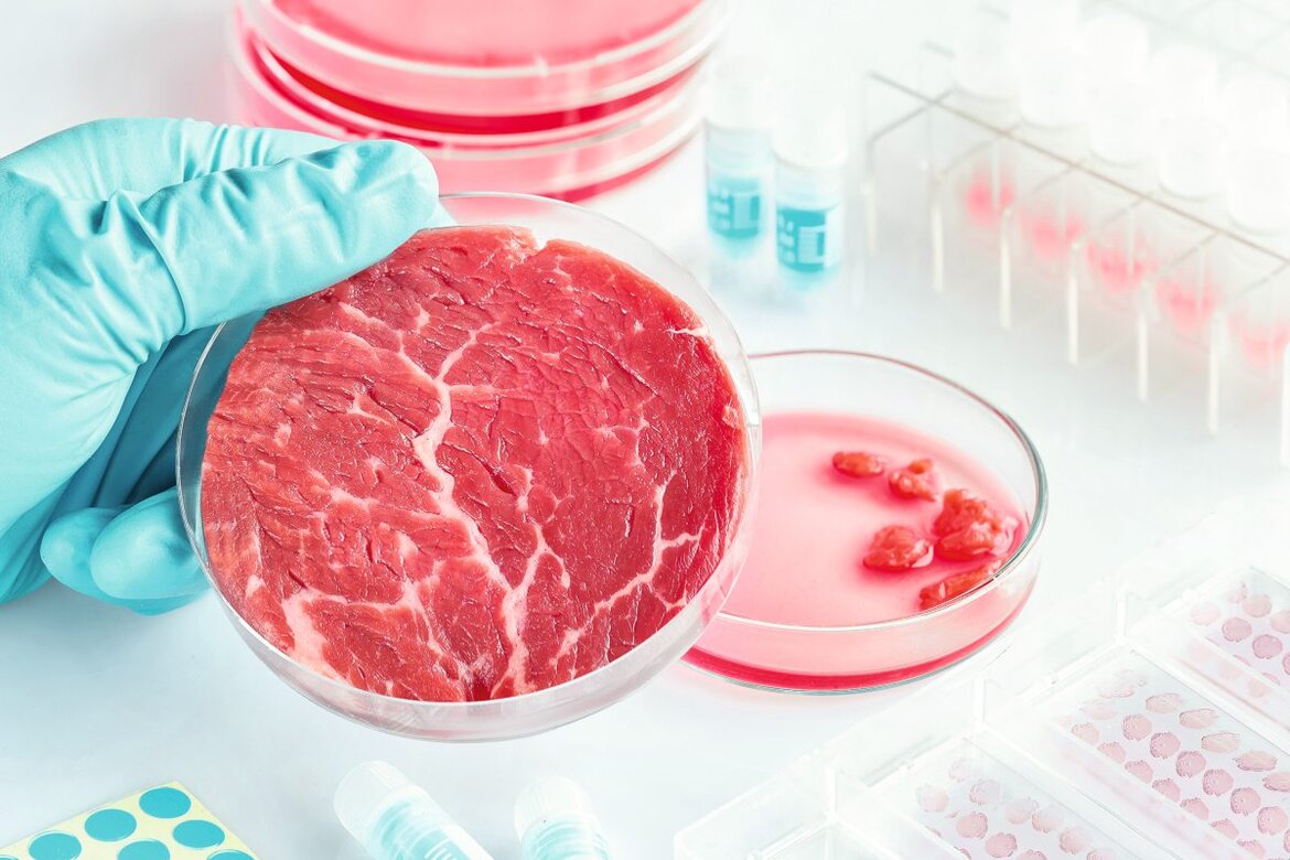 Fleisch in einer Petrischale im Labor