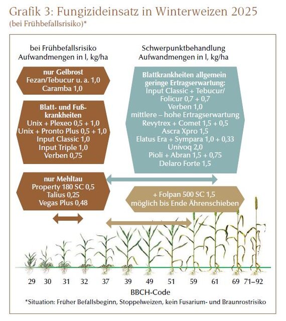 Fungizideinsatz in Winterweizen 2025