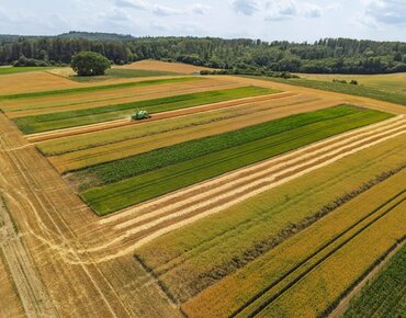 Felder mit Streifenanbau, Luftbild