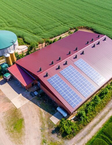 Schweinestall mit Solarpanels auf dem Dach