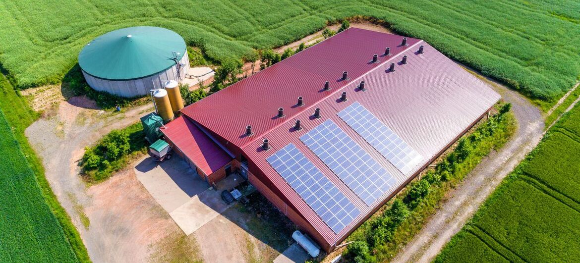 Schweinestall mit Solarpanels auf dem Dach