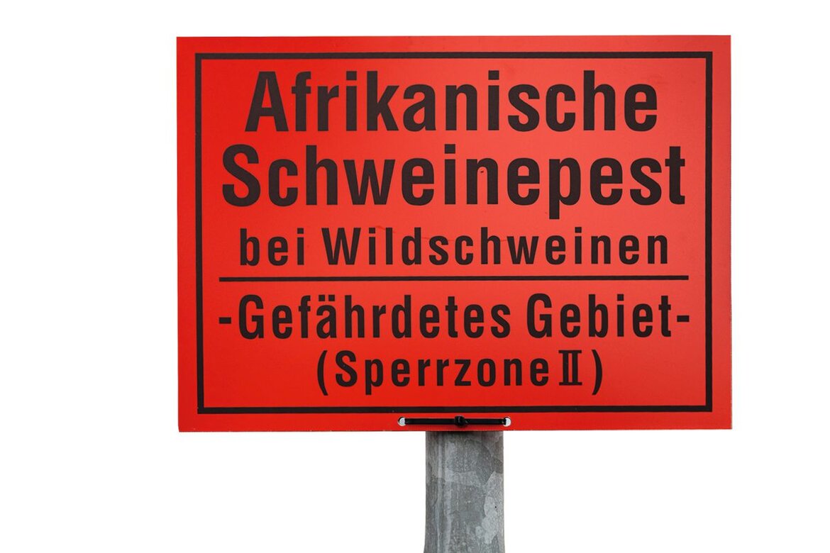 Warnschild Afrikanische Schweinepest