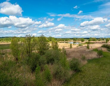 Landschaft mit Wiesen und Bäumen