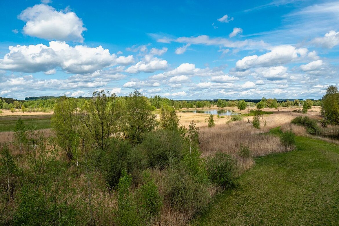Landschaft mit Wiesen und Bäumen
