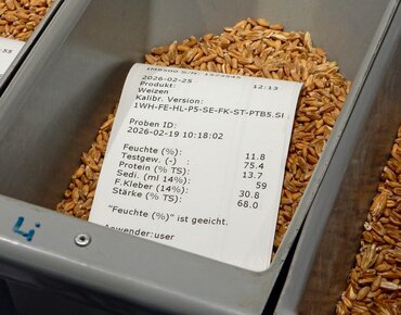 Probenentnahmestelle für Getreide