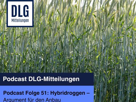 Hybridroggen. Gute Argumente für den Anbau