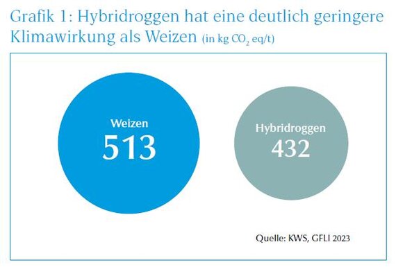Hybridroggen 