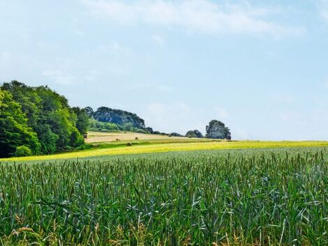 Biologische Mittel. Zwischen Versprechen und Realität