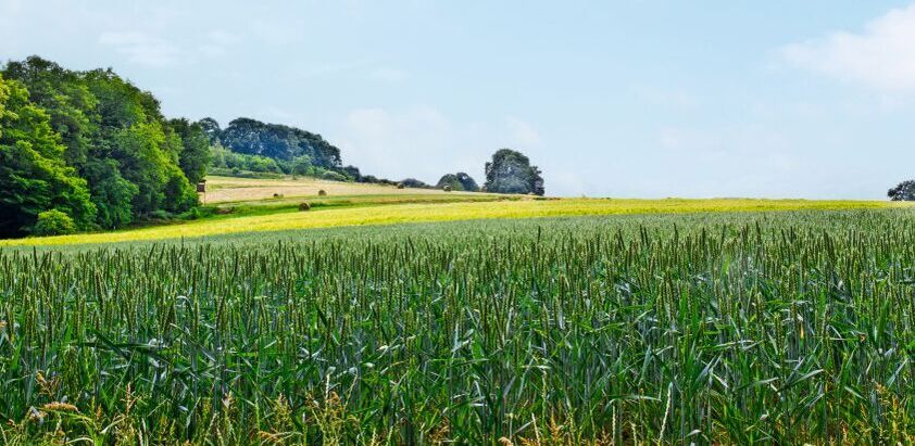 Landschaftsbild Acker